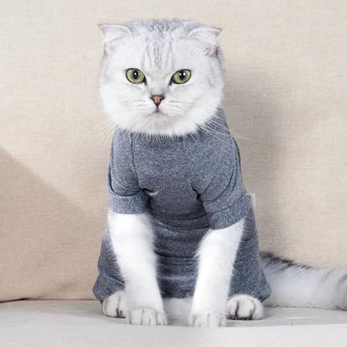 Fyra Ben Sphynx Dinosaurie Kattkläder återhämtning, Stretchig Lätt Xs-l, grå eller Orange, Xs-l 1,8-2,8 Oz för 1 Kg-8 Kg Katt (Stor)