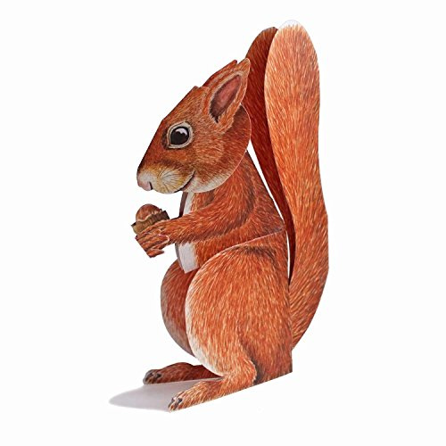 Pop-Up-Karte Eichhörnchen mit Mutter: Eine gefaltet 3-d-card von einem niedlichen Eichhörnchen mit einer haselnuss – Sweet und Dinky. Best für Tierliebhaber