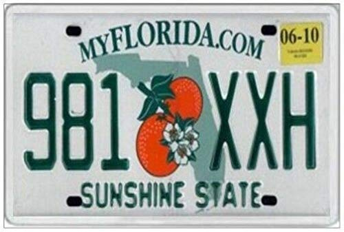TNND Florida Jumbo Old Style Nummernschild United States America Nummernschild, 15,2 x 30,5 cm