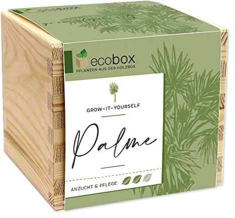 Feel Green - WE Create Nature ecobox, Palmier, Plantes dans la boîte en Bois 11 x 11 x 10 cm, fabriqué en Autriche, idée Cadeau Durable, kit de Culture