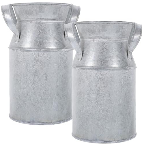 SUPVOX 2pezzi Secchi in Ferro Decorativi Per Fiori Vintage Secchi Rustici Per Piante Da Giardino Contenitori Per Composizioni Floreali Dallo Stile Retrò