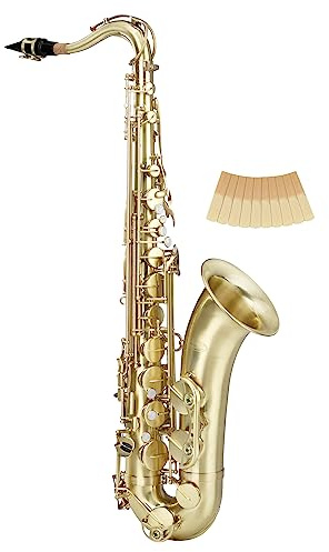 Classic Cantabile Winds TS-450 Brushed Bb Tenorsaxophon - Bb-Stimmung - Hoch-Fis-Klappe - Spar-Set inkl. 10 Stück Saxophon-Blätter, Stärke 2.0