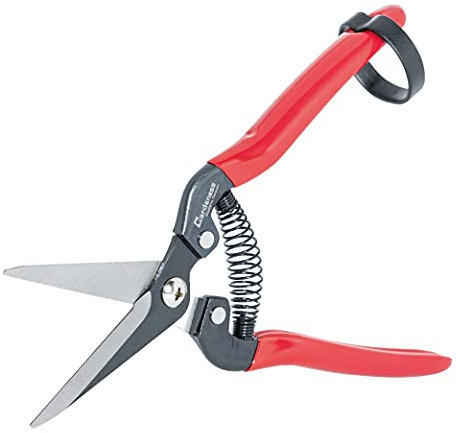 Gardeness – Sécateur droit en acier SK5, ciseaux de jardin ultra tranchants pour plantes, fleurs, fruits, bonsaï – ciseau de jardinage multifonction durable et sans effort