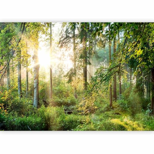 murando - Fototapete Vlies Wald, 200x140 cm, Schlafzimmer, Wohnzimmer | Full HD Druck, 3D-Effekt, lichtbeständige Farben, ideal fürs Wohn- oder Schlafzimmer, schnelle Montage, lichtbeständig, edel