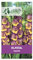 10 bulbes de fleurs Glaïeul Dynamite -