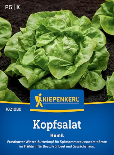 Kiepenkerl Kopfsalatsamen Humil 1021080 - Frostharte Salatsamen für Herbst und Frühjahr, ideal für Babyleaf und Salat pflanzen, Gemüsesamen für Beet und Frühbeet