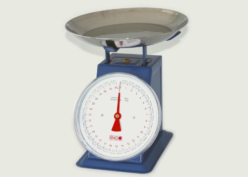 Castvivai Báscula de casa 15 kg