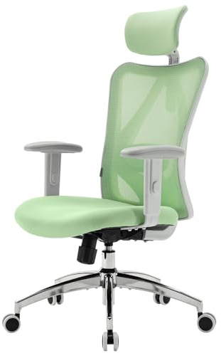 SIHOO M18 Ergonomisk kontorsstol, datorskrivbordsstol med justerbart nackstöd och ländryggsstöd, svängbar stol med hög rygg för hemmakontor (morgongrön)
