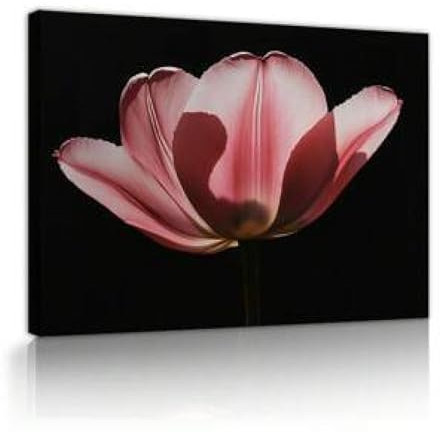 XINBAO Großer zeitgenössischer Blumendruck auf Leinwand, rosa flackernde Blumen, Bilder, Gemälde, romantische Pflanzen-Nahaufnahme, Wandkunst, Poster, 40 x 60 cm, mit Rahmen