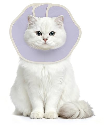 Supet avtagbart halsband för katt (lila, M)