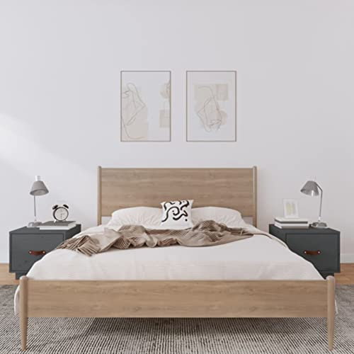ShGaxin Nachttische 2 STK Nachtschrank, Nachtkonsole, Bedside Tables, Nachtkästchen, Beistellschrank, Nachtkommode, Nightstand, Grau 40x34x35 cm Massivholz Kiefer