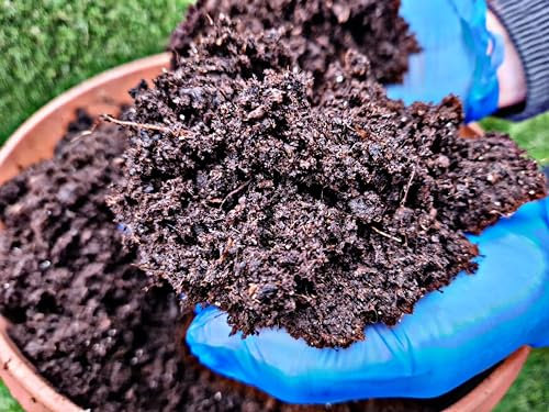 Love Aquatics 3 x 40 Litre Premium grade Multi Purpose Compost