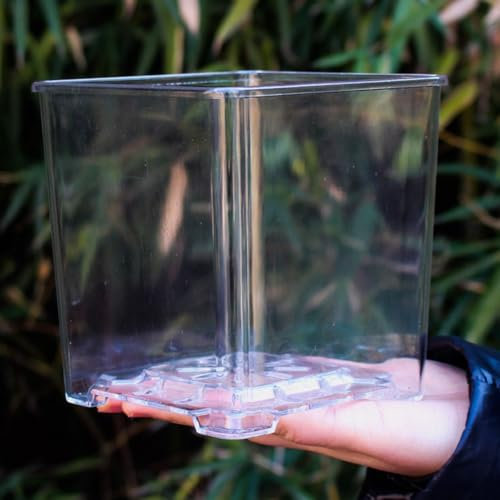 EasyByMall Transparenter Orchideentopf, transparente Blumentöpfe für Orchideen, Orchideentöpfe mit Drainage, Blumentöpfe für drinnen und draußen, Orchideen-Umtopfen (ohne Tablett)
