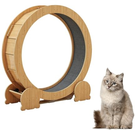 Versión Mejorada Rueda De Ejercicio para Gatos, Rueda para Gatos De Interior, Cinta De Correr para Gatos Silenciosa, Fitness Y Pérdida De Peso(Large)