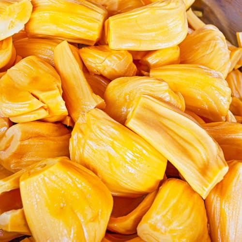 Semillas de yaca, Artocarpus heterophyllus, fresca, balcón de yaca, enanos son resistentes. jardín 10pcs