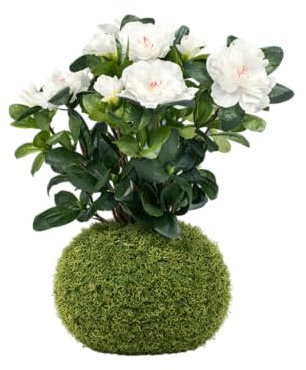 Planta Viva de Interior en Kokedama Azalea – Decoración Natural con Flor | DECOALIVE