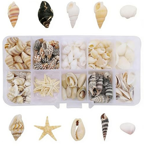 220 Pezzi Conchiglie Decorative, Conchiglie di Mare Naturali, Pietre Decorative per Vasi, per Decorazioni Acquario, Fai da Te, Artigianato e Addobbi Casa Stile Marino