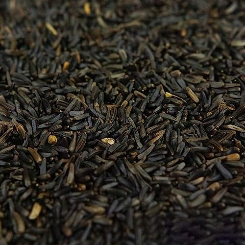 Graines de Niger BusyBeaks - Nourriture de qualité pour Oiseaux Sauvages à Haute énergie pour Jardin et pinsons (7.5kg)