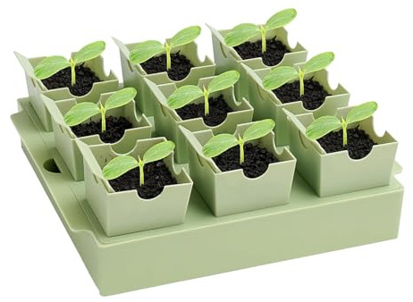 Genérico Bandeja De Germinación | Mini Invernadero Kit Germinacion - Herramienta Reutilizable Trasplante Propagacion,Interior Preparacion Macizo Cultivo Flores