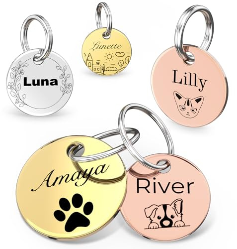 Medaglietta per animali domestici su entrambi i lati, con incisione laser, in acciaio inox lucido, placca rotonda per cani e gatti