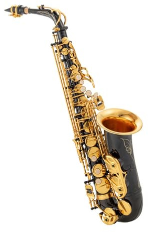 Saxophone für Anfänger Es Altsaxophon ist perfekt für Anfänger für Üben und Spielen