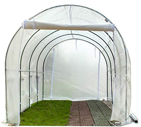 HWF Tomaten Tomatenhaus Winter Pflanzengewächshaus Polytunnel mit Metallrahmenregalen, Tomatenpflanzen-Growhouse Im Freien, 2m / 3m / 4m / 5m / 6m Lang Foliengewächshäuser (Size : 600x200x200cm)