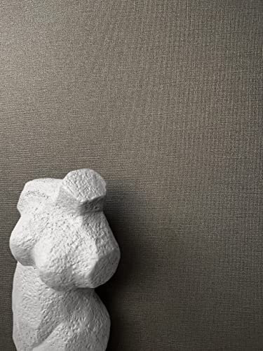 NEWROOM carta da parati Marrone Tinta Unita Tessuto non Tessuto - Uni Grigio Antracite Struttura Tessile