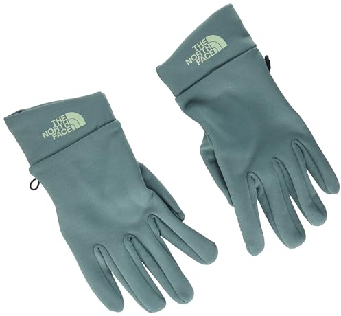 The North FACE TNF Rino Handschuh