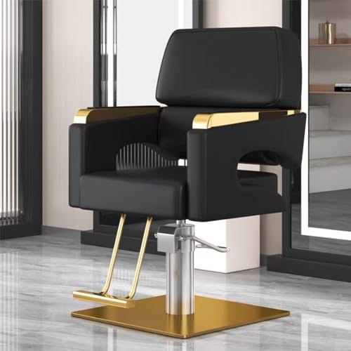 HJDSUDU Friseurstuhl, Friseurstuhl mit Hochleistungs-Hydraulikpumpe, höhenverstellbar, 360° drehbar, Spa-Schönheitsausrüstung, Make-up-Friseursalonstühle,Q