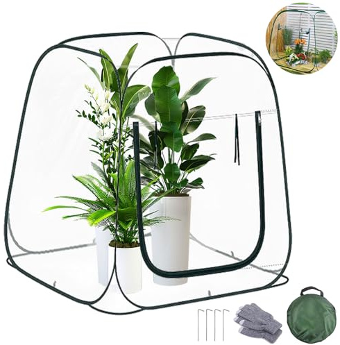 Gewächshaus Klein,Überwinterungszelt für Pflanzen,Pop up Gewächshaus,Pflanzenschutzzelt Winter 98*98*98cm,Transparent,Kein Aufbau Erforderlich,Wintergewächshaus für Gemüse und Blumen
