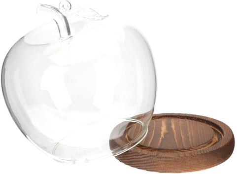 FRCOLOR Dôme de Verre Transparent Cache-poussière Protecteur avec Socle en Bois Plat et Vitrine Élégante pour Décoration Intérieure et Artisanat pour Objets de Collection
