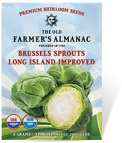 The Old Farmer's Almanac Heirloom Brussels Sprouts Seeds (Long Island Improved) - Approx 700 Seeds - Non-GMO, Open Pollinated, USA Origin