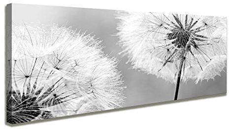 Visario 120 x 40 cm Bild Pusteblume Löwenzahn Hundeblume 5741