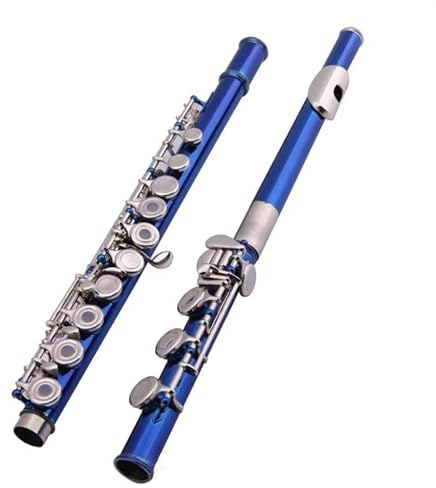 Querflöte Instrument Blaue Geschlossene C-Ton-Flöte Mit 17 Löchern, Kupfer-Nickel-E-Klappenflöte Mit Flötenetui Und Zubehör