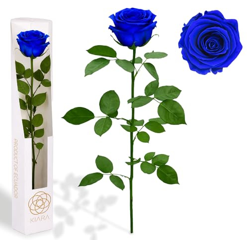 Gdecora Rosa Eterna Preservada de Color Azul con Tallo 55cm Mujer,Mamá,Novia,Abuela- Flores Infinita para Cumpleaños,San Valentín,Día de la Madre, Rosas Preservadas Azules