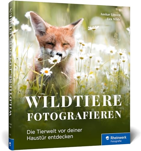 Wildtiere fotografieren: Die Tierwelt vor deiner Haustür entdecken