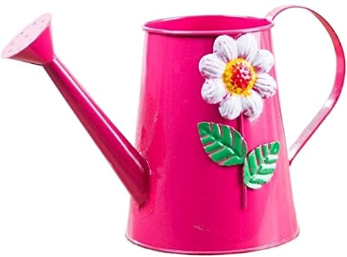 Nouveau Arrosoir Vintage Peint à la Main Vaporisateur Plantes Couleur étain Fleur arroseur Peut arroser Fleurs et légumes Arrosoir Plante