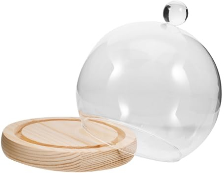 MAGICLULU Glaskuppel mit Holzsockel Kugelförmige Glasglocke Staubschutz für Mini Landschaft und Ewige Blumen Dekorative Transparente Cloche für Zimmerpflanzen und DIY Displays