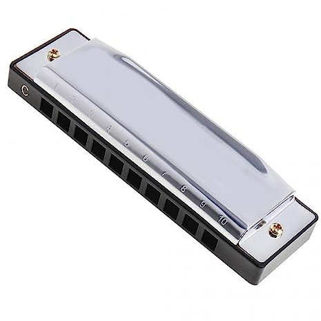 Mundharmonikas 10 Löcher Mundharmonika Diatonische Harfe Mundharmonika Musikinstrument Edelstahl Für Anfänger