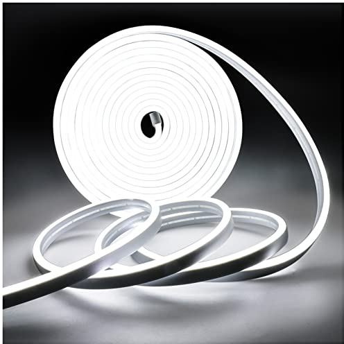 Tesfish Neon LED Streifen Licht, Band DC 12V 5M 120 LEDs/M Insgesamt 600 LEDs Weiß 6000K Flexibel Lichtleisten für Schlafzimmer, Bar, Spielzimmer, Geburtstag, Weihnachtsfeier
