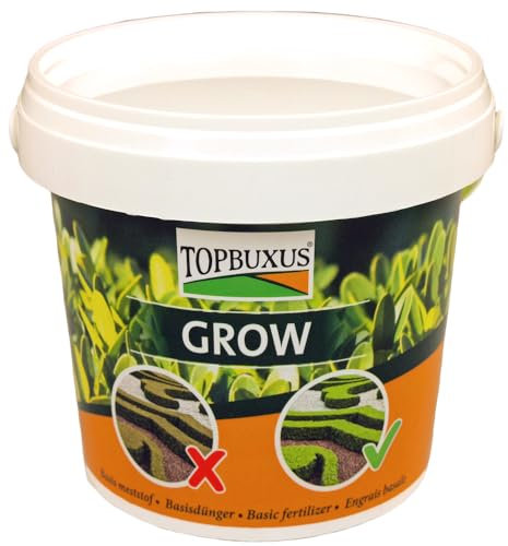 TOPBUXUS GROW - Professional Boxwood Fertilizer - 500g for 10m2 - No Yellow Leaves
