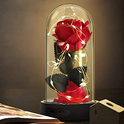 Beauty and the Beast Rose, Gifts for Women,Enchanted Red Silk Rose with 7 Colors Light, Valentine Gift, Wedding, Anniversary, Birthday Gift, Christmas Day