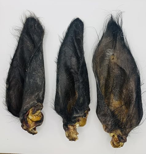 PREMIUM Grade A - Large Hairy Buffalo Ears – Natural Dog Treat, Chew – House of Canine (3 ears)