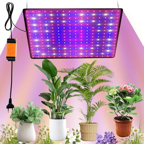 Lampadina Crescita Piante Indoor 250 LEDs 1000W Lampada per Piante LED Spettro Completo con 4 Gancio Lampada LED Coltivazione per Serra Piante Ortaggi Fiori (Rosso+Blu+Bianco, 250LEDs)