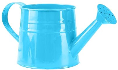 Annaffiatoio piccolo per piante da interno, 1 l, annaffiatoio per fiori in metallo, annaffiatoio per piante, piccolo annaffiatoio da giardino, fioriere da giardino, piccoli vasi da giardino (C)