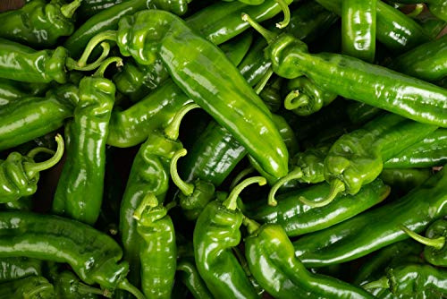 50 Graines de Poivron Corne de Bœuf - légumes jardins potager- semences paysannes reproductibles - SemiSauvage