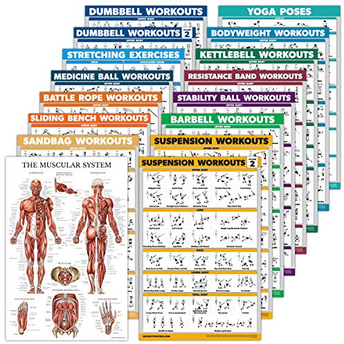 16-pack – träningspass affischset: hantel, upphängning, kettlebell, band, medicinboll, stridsrep, stretching, kroppsvikt, skivstång, yoga, träningsboll (papper – inte laminerad, 45 cm x 61 cm)