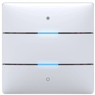 Theben 4969232 iON 102 KNX Tastsensor 2 Tasten Secure | 2 Status-LEDs, integrierter Temperatursensor, Schalten, Dimmen, Jalousie, Wertgeber, Szenen, Farbsteuerung, Sequenz