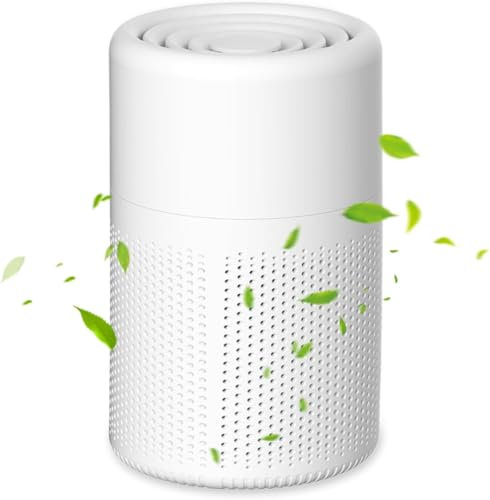 Luftreiniger Allergiker, H13 HEPA Luftfilter Air Purifier, USB Tragbarer Luftreiniger mit Aromatherapie, Leises Rauschen Raumluftreiniger für Rauch, Staub, Schimmel, Tierhaare & Gerüche