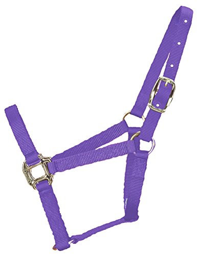 Hamilton Halfter für Pferde, Nylon, 1,9 cm (3/4 Zoll), Lavendel